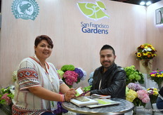 Natalia Uribe and Fernan Ramirez of San Francisco Gardens. They grow hydrangeas in the mountains in Antique on 27-35 ha.