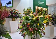 The callas of supplied by Gloeckner- one of their best-selling flowers in Colombia.