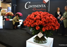 A new red variety of Continental Breeding; Bromo, planted in Ecuador, Colombia, Kenya and several other countries.
