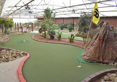 Midget golf among the cacti