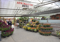 No cash? No problem - shoppers can use the ATM machine when they've loaded up their trolleys.