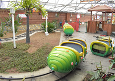 More fun for the little ones - here they can get to know plants in a playful way.