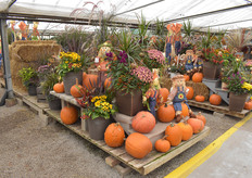 It's not all about Christmas yet, judging by this autumn-themed display.