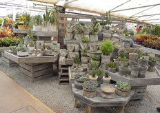 Potted garden plants is another trend we noticed.