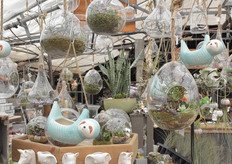 A new twist to the hanging basket concept