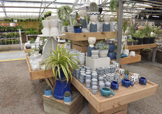 Novelty pots on display