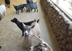 "Clean up in aisle five!"