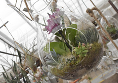 ...and hanging glasses.