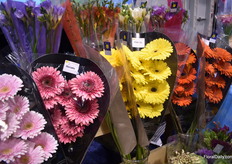 The color changes from gray to yellow - so from a color that indicates a full vase life (indicated by the grower or supermarket) to a color of 50% vase life.