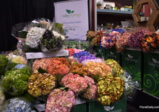 The airbrushed hydrangeas of Valley Springs.