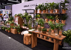 On top of that, LiveTrends also launched a new brand for 2020-2021. Since the establishment 6.5 years ago, they have grown to 16,000 stores. Now, the new brand is Urban Jungle, focused on the creative Millenials; Mindful living.