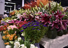 Flowers on display at Sun Valley Gardens. 