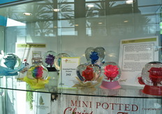 The Rose Globe of Greenleaf Flower Grower. 