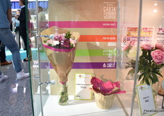 The Carta Chroma eCover of A-Roo Company. 