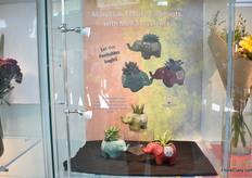 The Moroccan Festive Elephamts with Mini Succulents of Micky's Minis. 