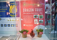 Dragib Fruit in the LivingHouse concept of Bayview Flowers.