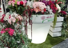 Natuflora's lighted vase was a show-stopper.