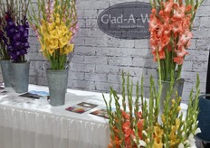 Glad-A-Way's Gladiolus.