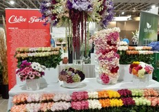 Choice Farms' stocks resemble a peacock, more on the table top; Garden Roses, Anemones and Ranunculus