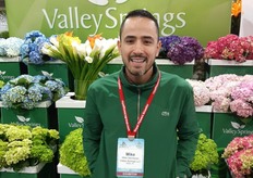 Valley Springs Mike Henriquez, WFFSA sponsor, marketing committee member and President Club showing Hydrangeas and Callas grown in the Medellin (Colombia) area.