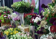 Charmelia highlighted at Miraflor table top.