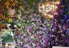 Outstanding Ball wall at the entrance of the MAC Convention Center, where WFFSA was held.