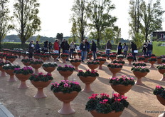 Guests were divided in different groups all with their own guide, speaking the language of the visitors. In total, 10 languages are spoken in the company. "It is important that we speak our customer's language so that we can understand their needs and expectations", Olivier Morel said in his opening speech.