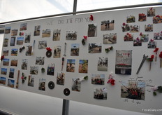 Visitors could see the entire construction process of the new greenhouse.