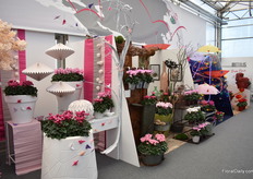 Some booths that represent countries in Asia.