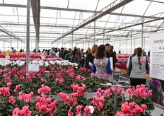 Now it is time to go in the new greenhouse.