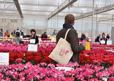 Guests checking out the varieties.