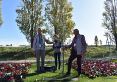 And... planted as well.