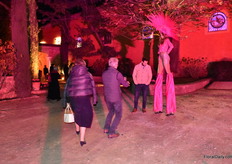 Pictures being taken.