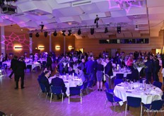 And some nice music and entertainment.