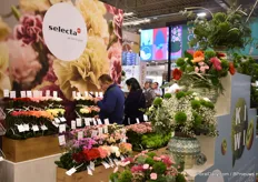 Selecta one again this year brought their cut flowers varieties and for the first time at the IPM Essen, they are presenting their expanded carnation assortment.