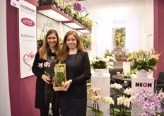 The sisters Hassinger of Hassinger Orchids. Iris, on the left, is holding a new 6cm phalaenopsis, named Tracy. Jasmin, on the right, is holding one of the products in the Cocoon concept. This concept was introduced last year and recently, they developed a new packaging for retail which protects the glass.