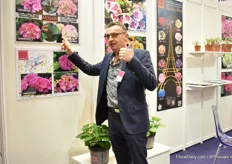 Jean-Yves Coulbault of Sicamus showing the upcoming brands; Mosaik 'Double Effect' - with double colored flowers and double colored leaves - and Confetti - with spots on the flowers. Later more on these new brands on FloralDaily.com