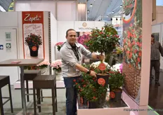 Matthias Meilland of Meilland holding Zepeti, a variety that they introduced last year at the FlowerTrials 2019. In 2020 for Spring, 250,000 will come out for Europe.