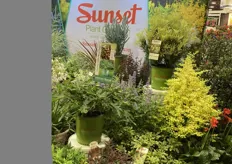 The booth of Sunset plant Collection, a part of Plant Development Services. 
