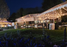 ThinkPlants booth at night.