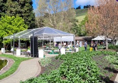 The ThinkPlants booth at Syngenta Flowers. 