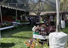 The booth of ThinkPlants. 