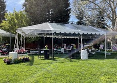 "ThinkPlants™ offers growers an unrivaled commitment to breeding a diverse mix of improved plant genetics, with a healthy supply chain of top quality URC, bareroot and liners, along with a true sense of transparency between grower and supplier."