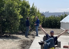 At the Greenfuse Botanicals premises, but this year at a new location, in Somis, between the lemon trees.