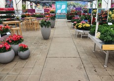  Overview picture of the presentation of HilverdaFlorist at the Takii location in Salinas.