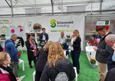 Kathy showcasing Schoneveld's varieties. 