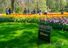 During the past 72 years, Keukenhof always remained the showcase for the Dutch floricultural sector. It also developed into one of the world's largest flower gardens, with a special focus on flower bulbs, which can be ordered on-site as well.