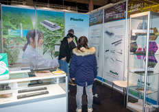 The Plusrite LED lamps. 