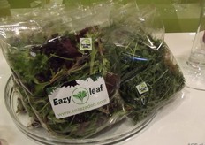 Eazy Leaf: brandname of Enza Zaden