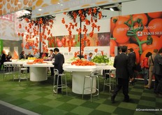 Beautifull boots: Takii Seeds tomato tree.